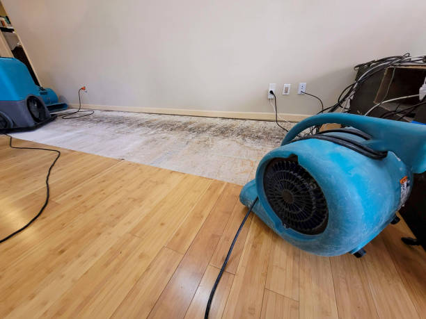 Professional Emergency Water Damage technician working in Belle Plaine, MN